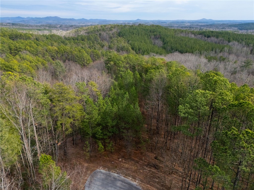 TBD Lot S-30 Jocassee Ridge #LOT S-30, Salem, South Carolina image 2