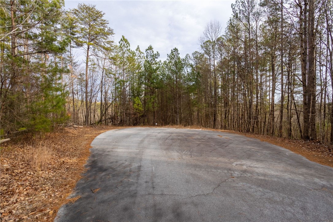 TBD Lot S-30 Jocassee Ridge #LOT S-30, Salem, South Carolina image 3