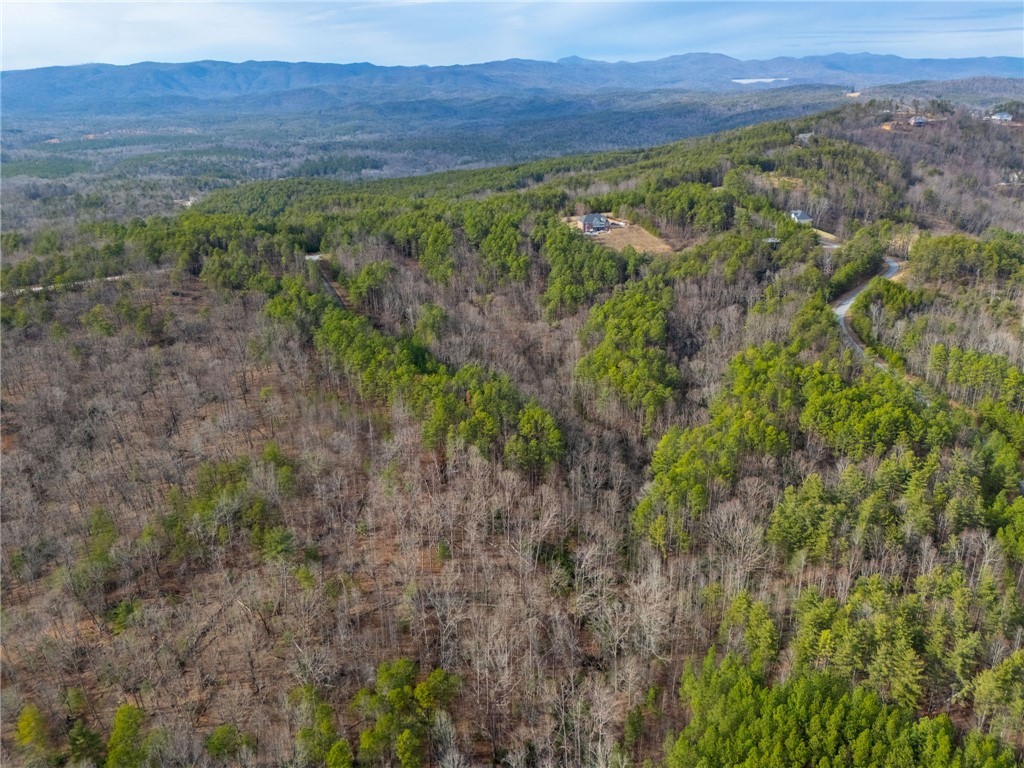 TBD Lot S-30 Jocassee Ridge #LOT S-30, Salem, South Carolina image 10
