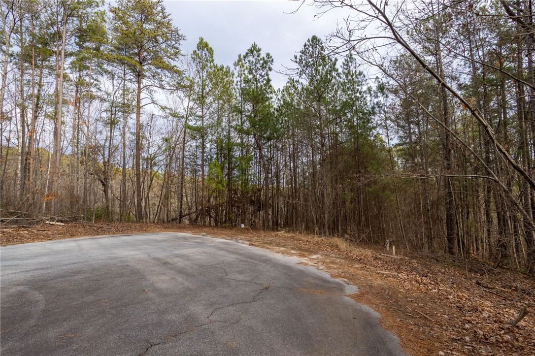 TBD Lot S-30 Jocassee Ridge #LOT S-30, Salem, South Carolina image 4