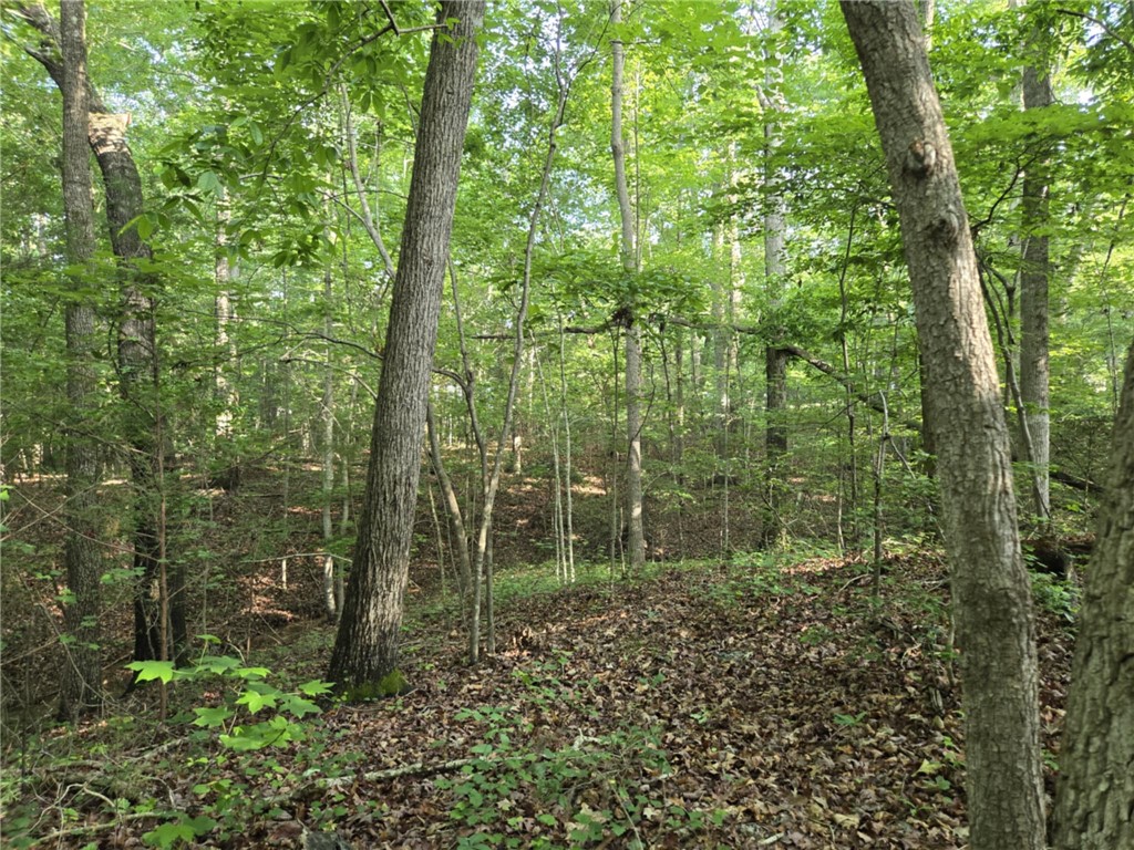 Lot 1061 N Hogan Drive, Westminster, South Carolina image 12