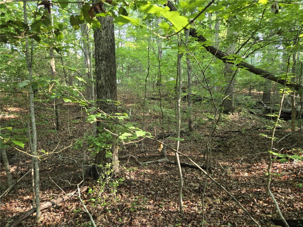 Lot 1061 N Hogan Drive, Westminster, South Carolina image 6