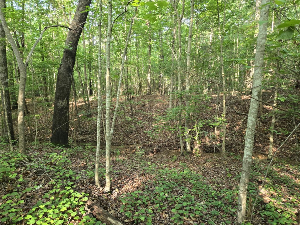 Lot 1061 N Hogan Drive, Westminster, South Carolina image 7