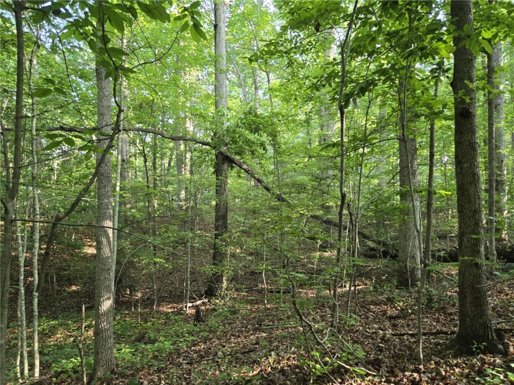 Lot 1061 N Hogan Drive, Westminster, South Carolina image 5