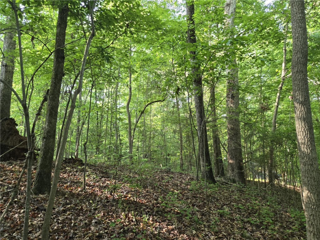 Lot 1061 N Hogan Drive, Westminster, South Carolina image 11