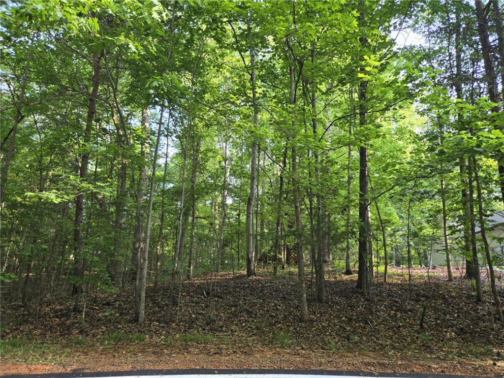 Lot 1061 N Hogan Drive, Westminster, South Carolina image 3