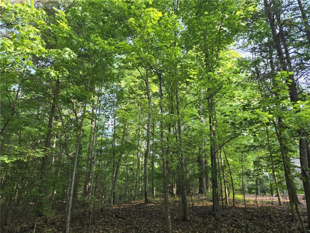 Lot 1061 N Hogan Drive, Westminster, South Carolina image 13