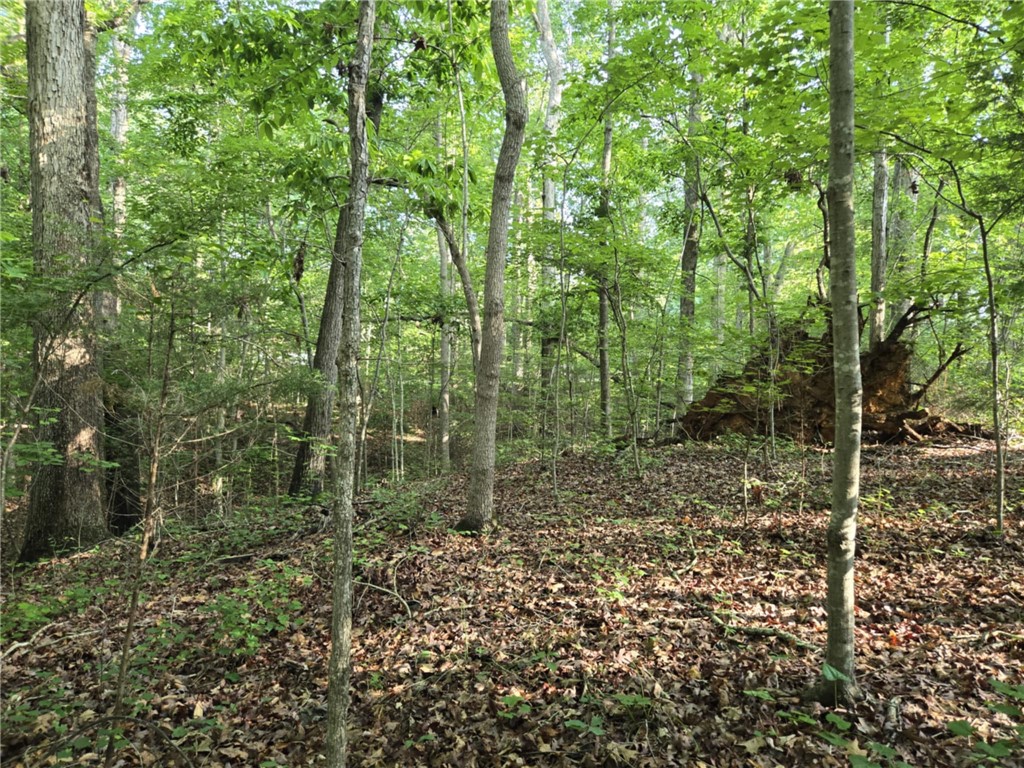 Lot 1061 N Hogan Drive, Westminster, South Carolina image 10