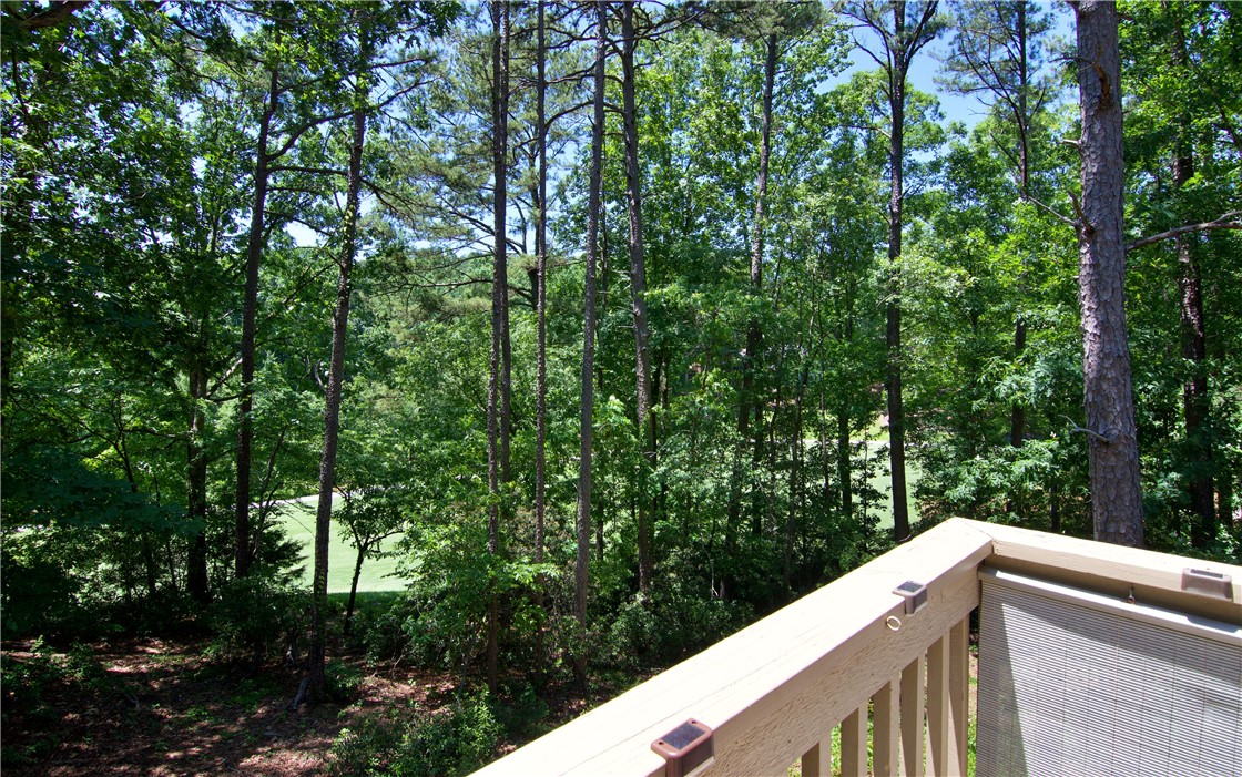 131 Harbor Lights Drive, Salem, South Carolina image 8