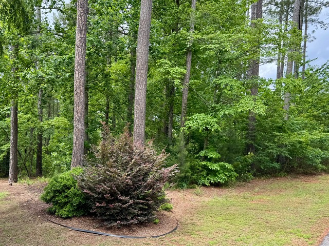 1433 Stillwater Drive, Seneca, South Carolina image 5