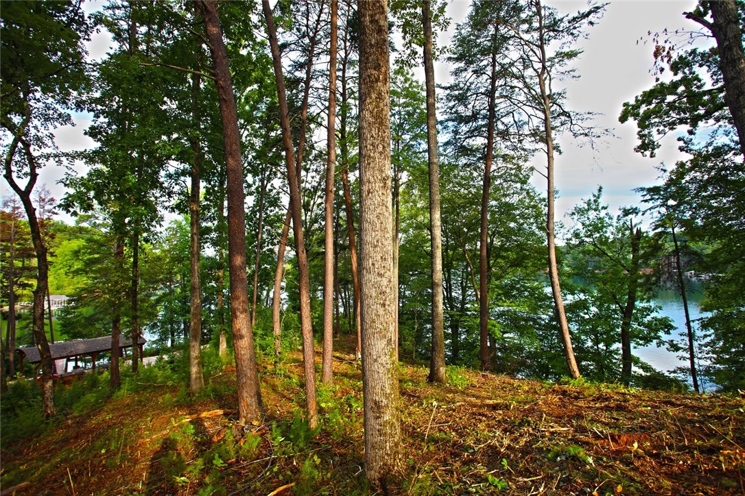 223 Squirrel Point, Six Mile, South Carolina image 28