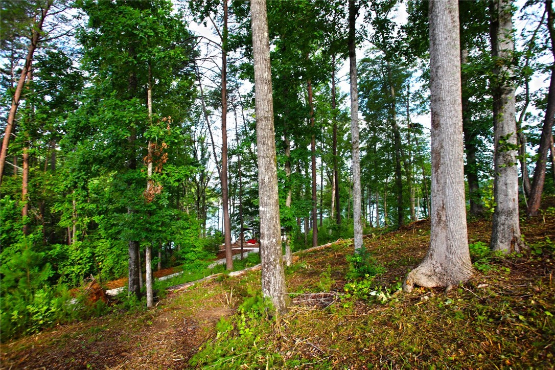 223 Squirrel Point, Six Mile, South Carolina image 38