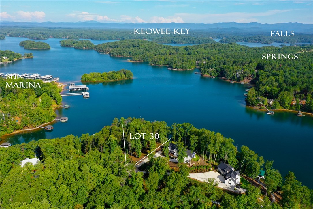 223 Squirrel Point, Six Mile, South Carolina image 6