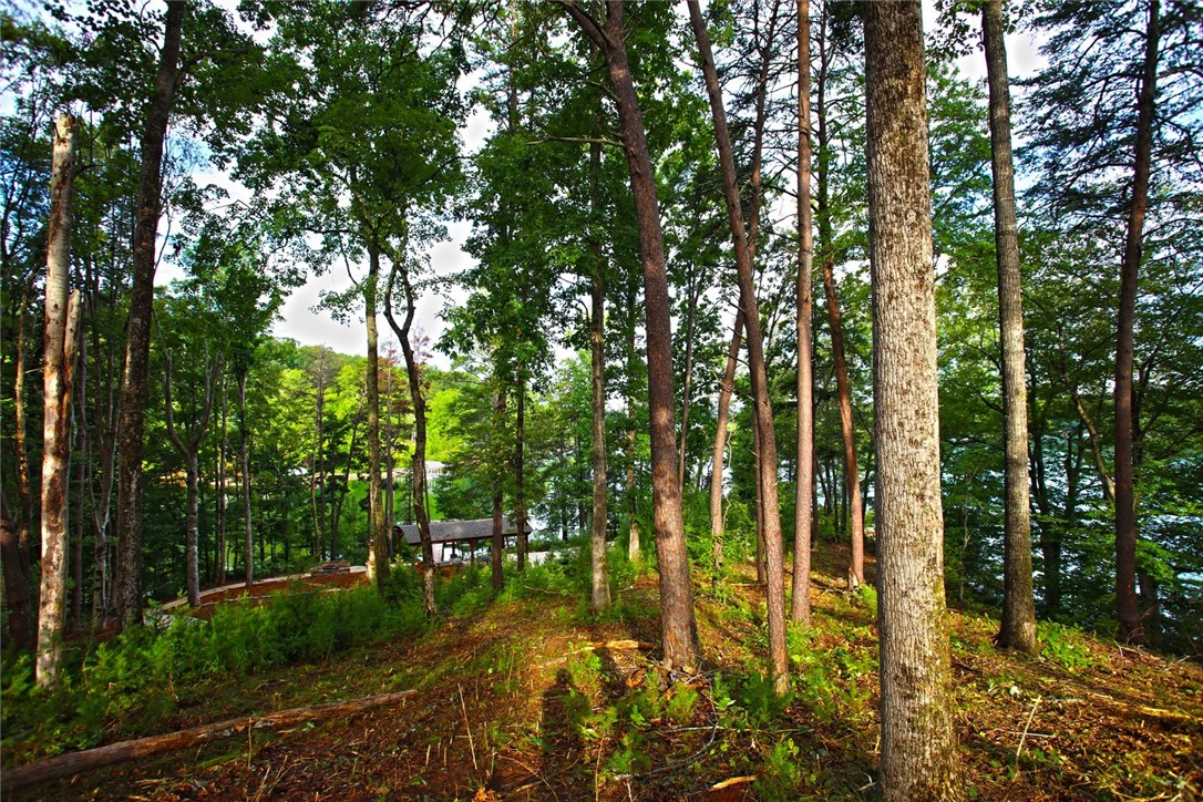 223 Squirrel Point, Six Mile, South Carolina image 27