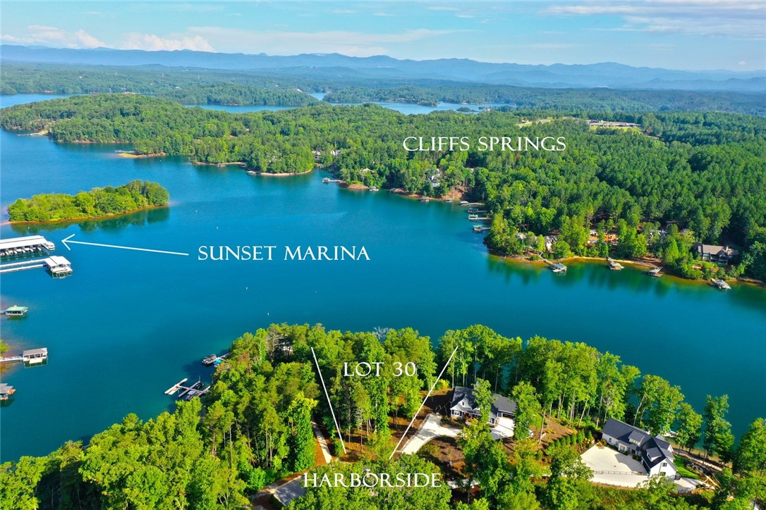 223 Squirrel Point, Six Mile, South Carolina image 5