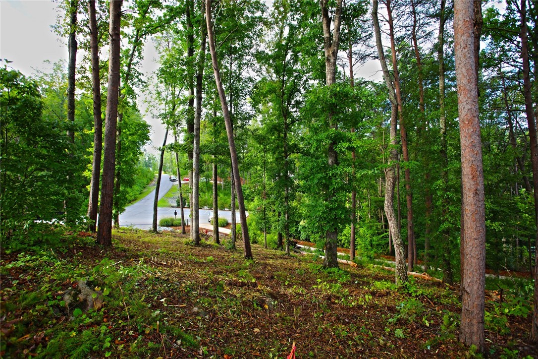 223 Squirrel Point, Six Mile, South Carolina image 36