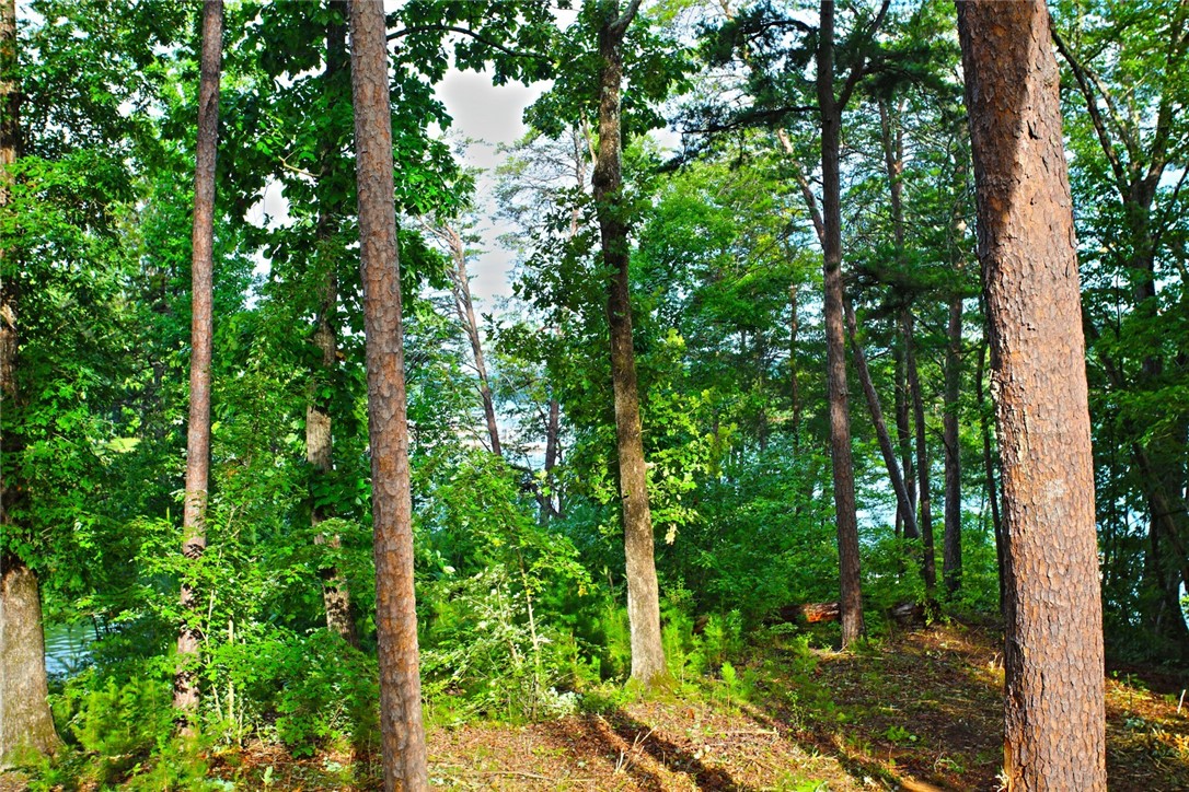 223 Squirrel Point, Six Mile, South Carolina image 23