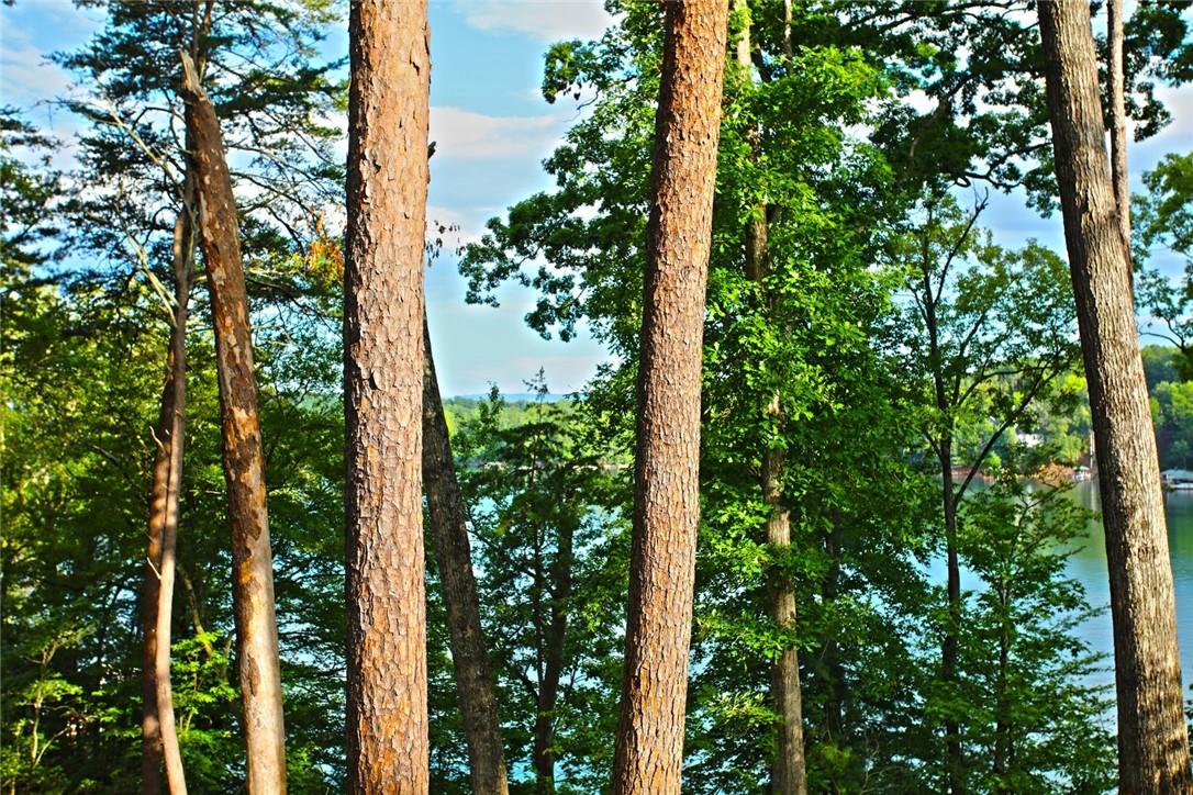 223 Squirrel Point, Six Mile, South Carolina image 16