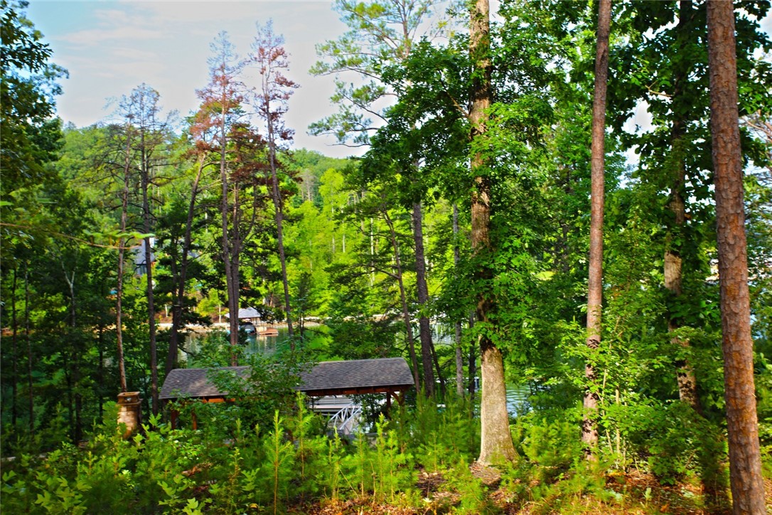 223 Squirrel Point, Six Mile, South Carolina image 22