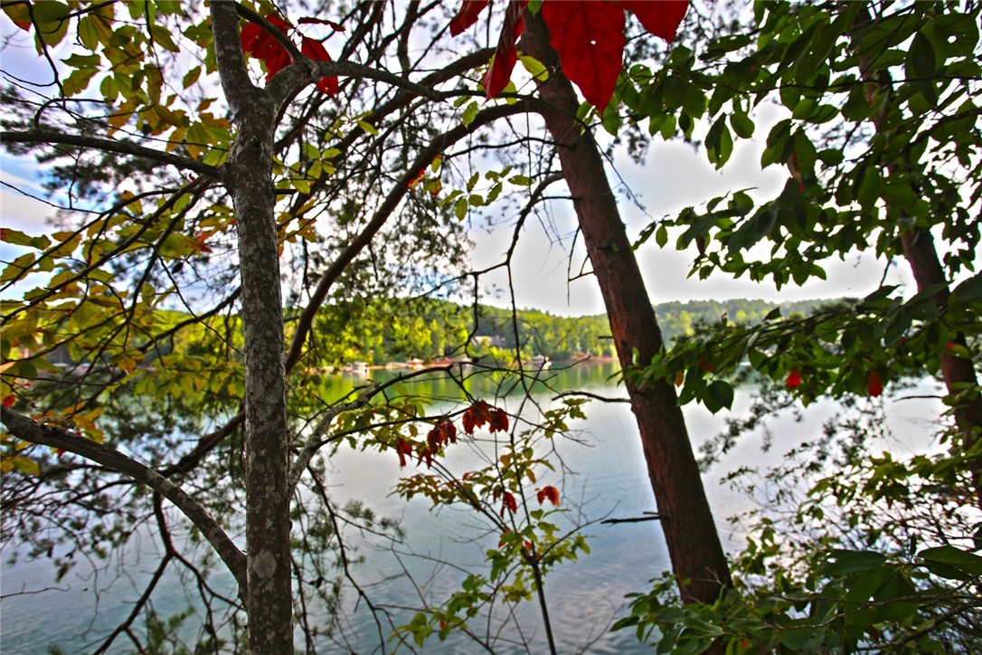223 Squirrel Point, Six Mile, South Carolina image 19