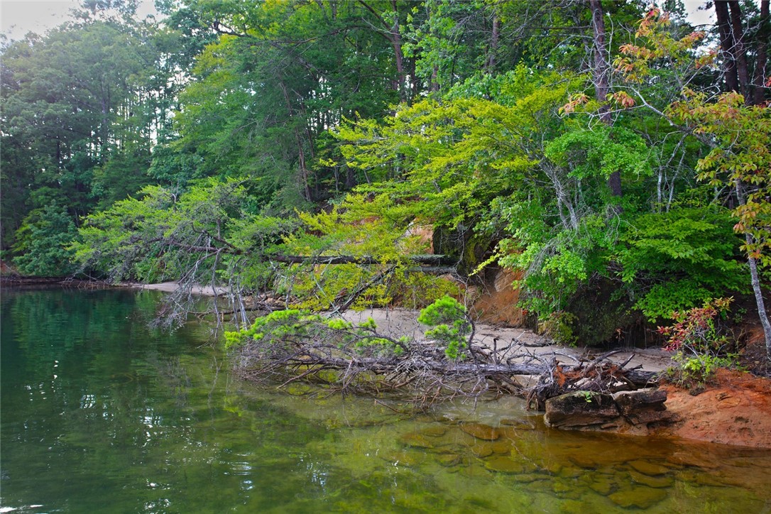 223 Squirrel Point, Six Mile, South Carolina image 48