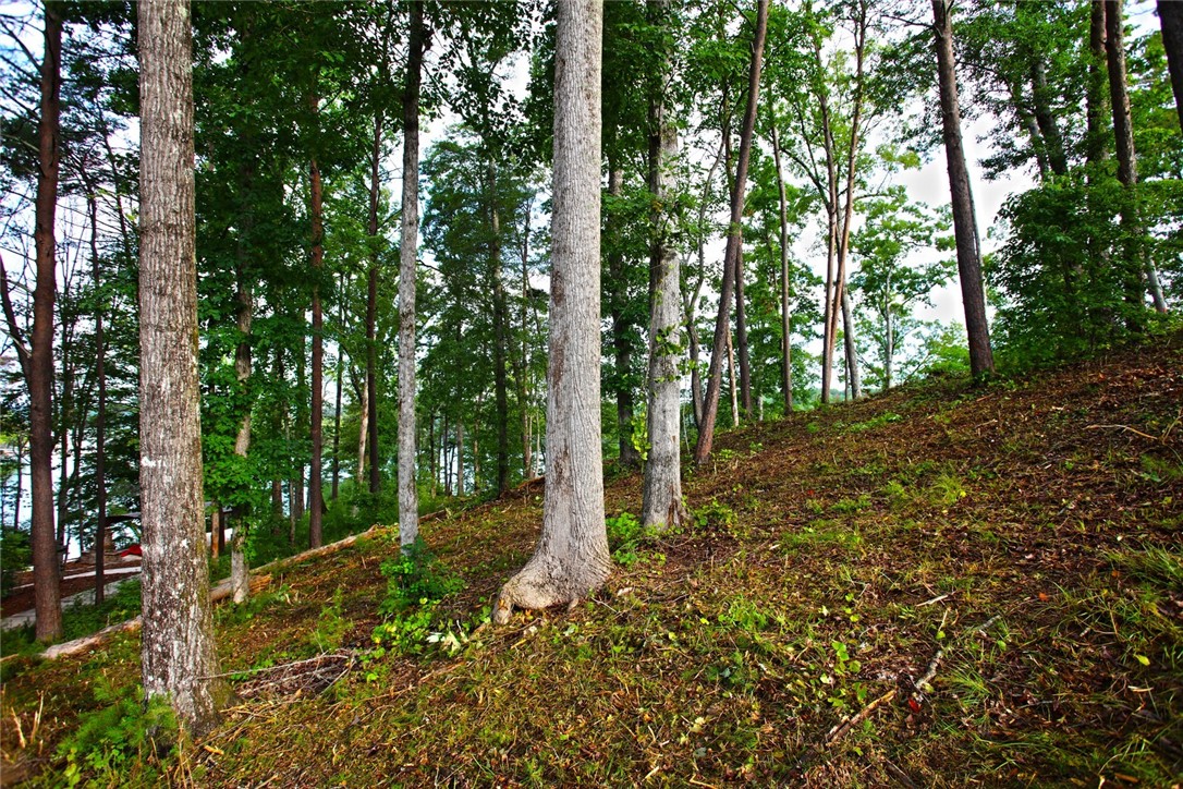 223 Squirrel Point, Six Mile, South Carolina image 39