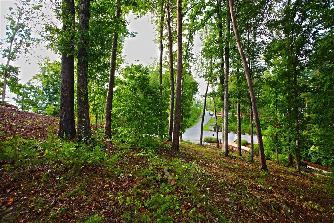 223 Squirrel Point, Six Mile, South Carolina image 37