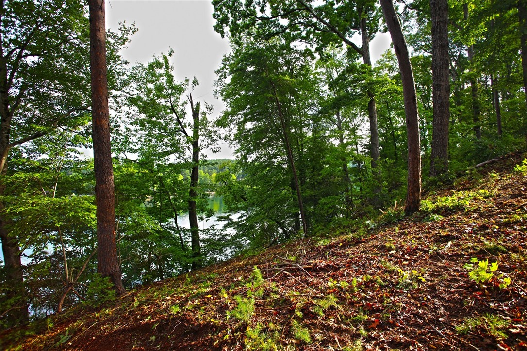 223 Squirrel Point, Six Mile, South Carolina image 26