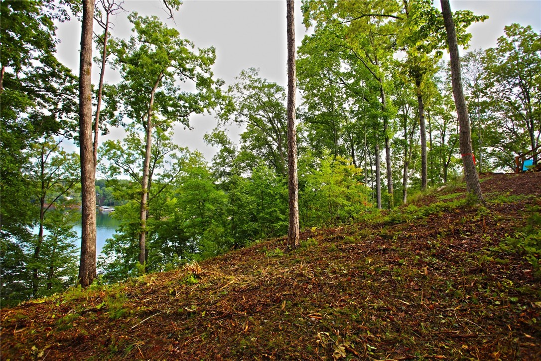 223 Squirrel Point, Six Mile, South Carolina image 32