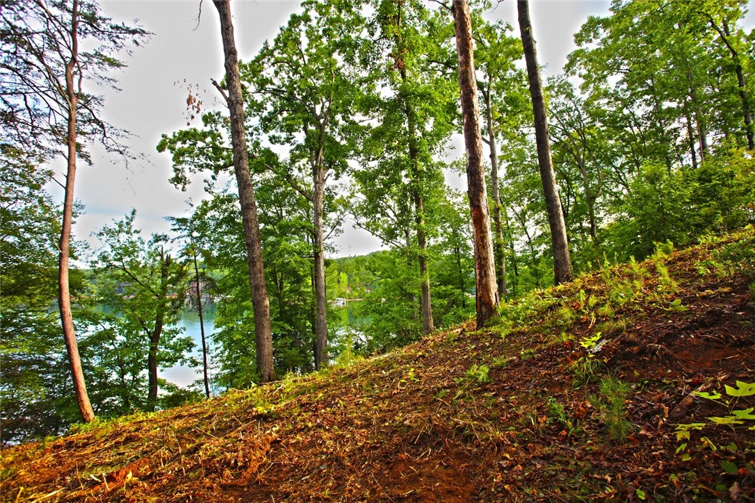 223 Squirrel Point, Six Mile, South Carolina image 30