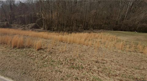 Vacant Land For Sale - 501 Central Road<br/> Pendleton, SC 29670