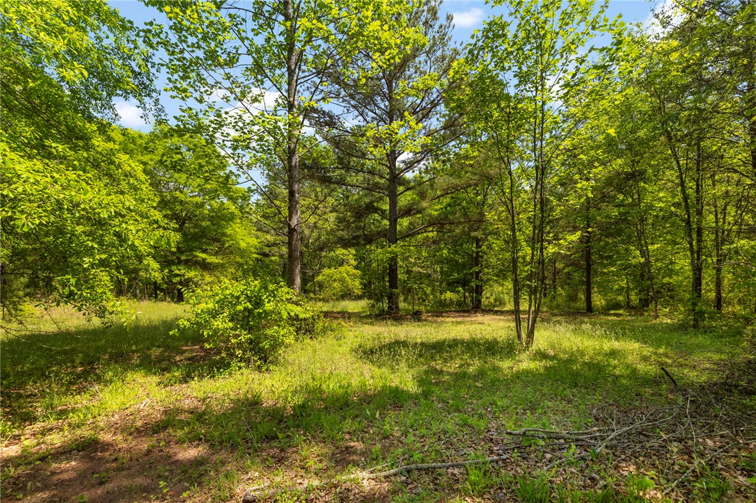 1440 Pumpkintown Highway, Pickens, South Carolina image 43