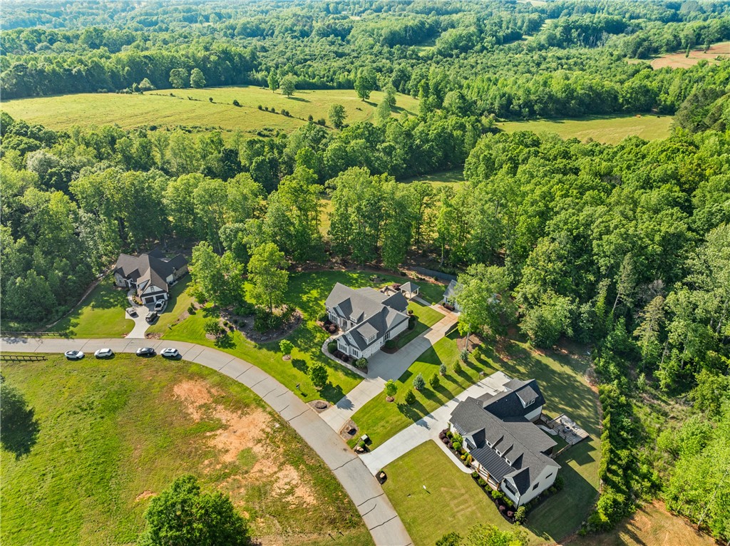 122 Crawford Lake Drive, Easley, South Carolina image 47