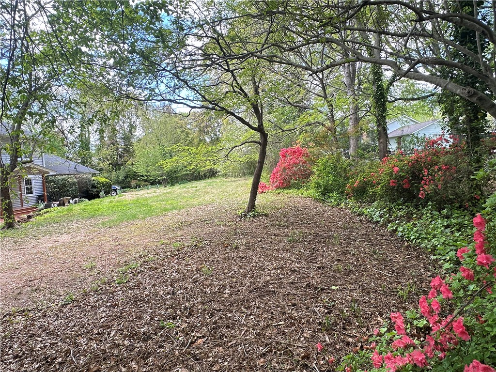 102 Buckingham Court, Easley, South Carolina image 32