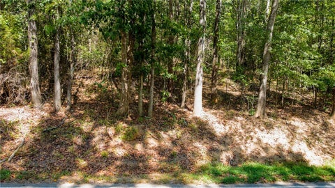Vacant Land For Sale - LOT 17 Whiten Road<br/> Anderson County, Belton, SC 29627