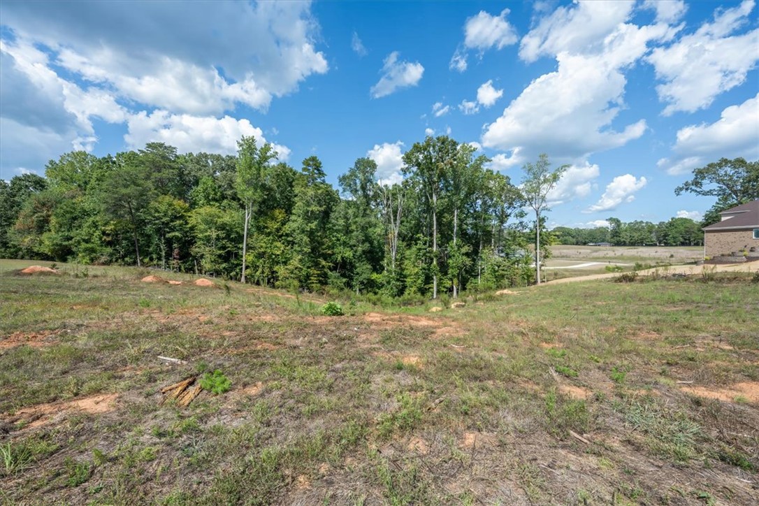 106 Topsail Drive, Anderson, South Carolina image 4