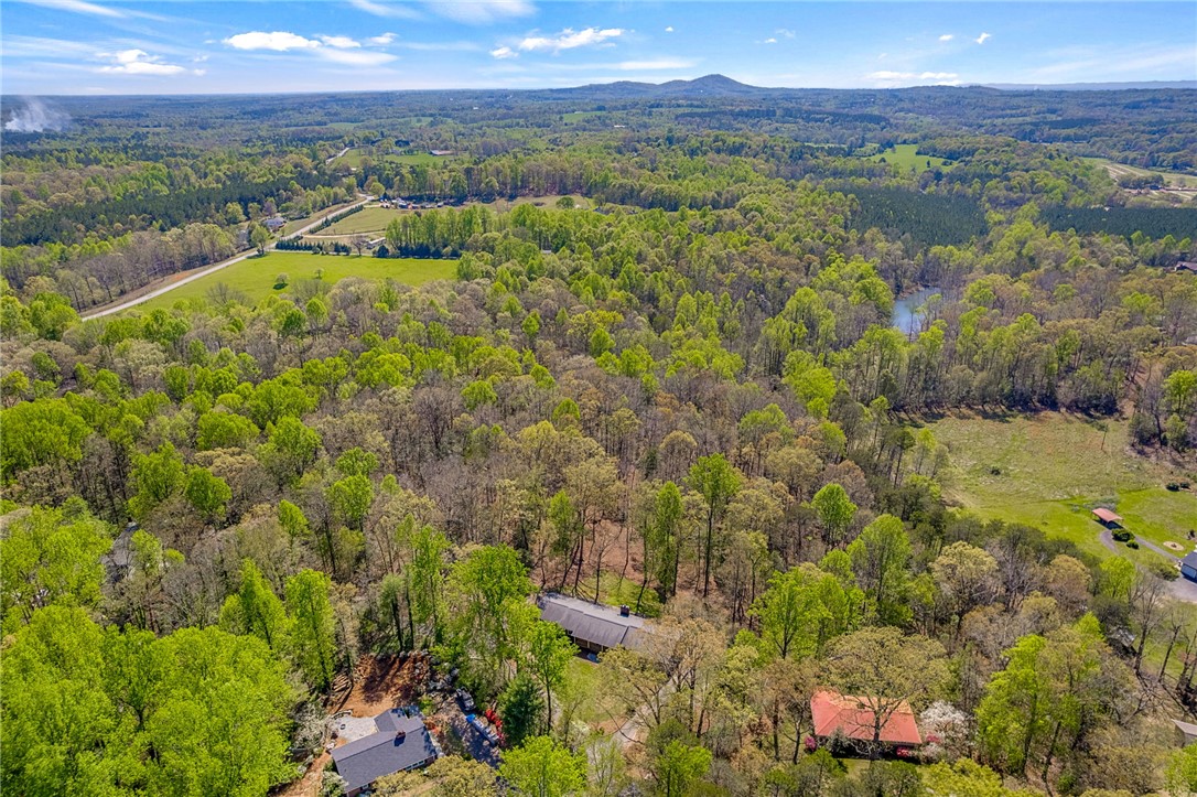 142 Hollingsworth Drive, Pickens, South Carolina image 38