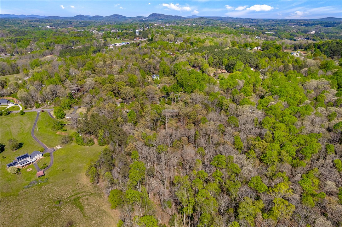 142 Hollingsworth Drive, Pickens, South Carolina image 37