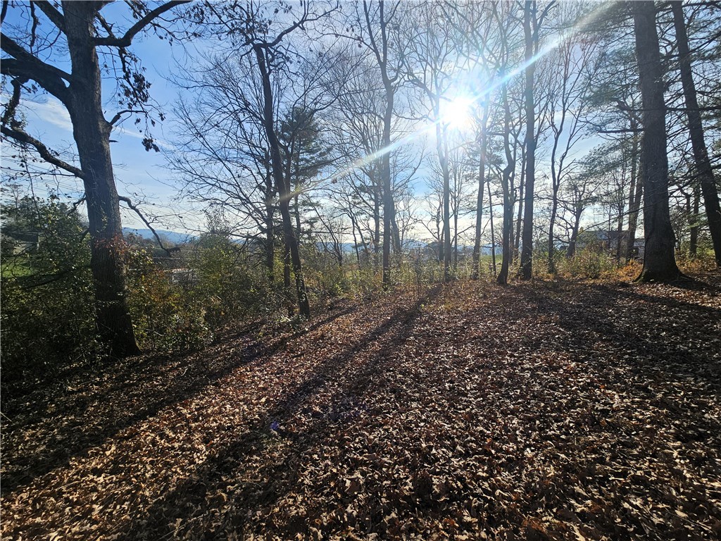 184 Majestic Ridge Road, Mills River, North Carolina image 4