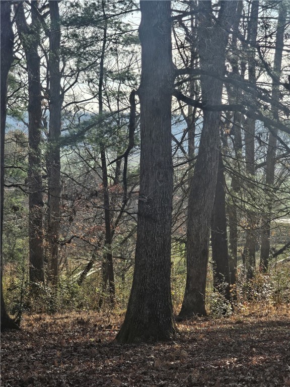 184 Majestic Ridge Road, Mills River, North Carolina image 2