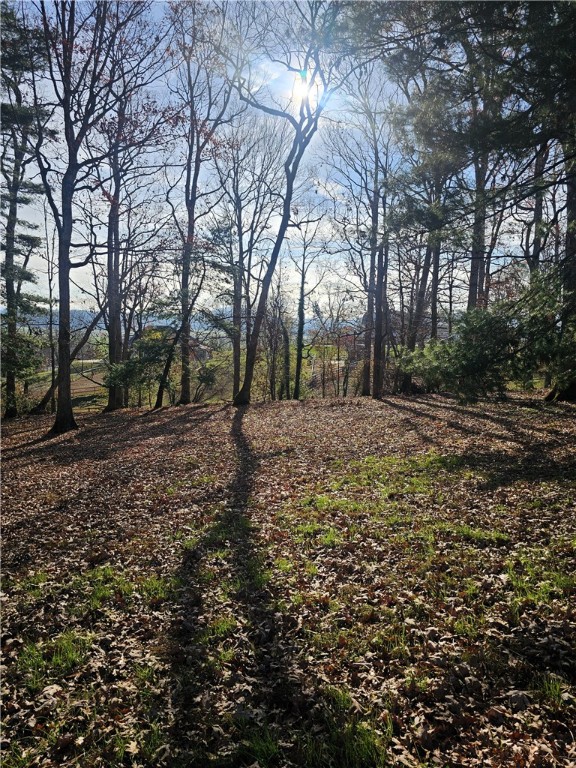 184 Majestic Ridge Road, Mills River, North Carolina image 10