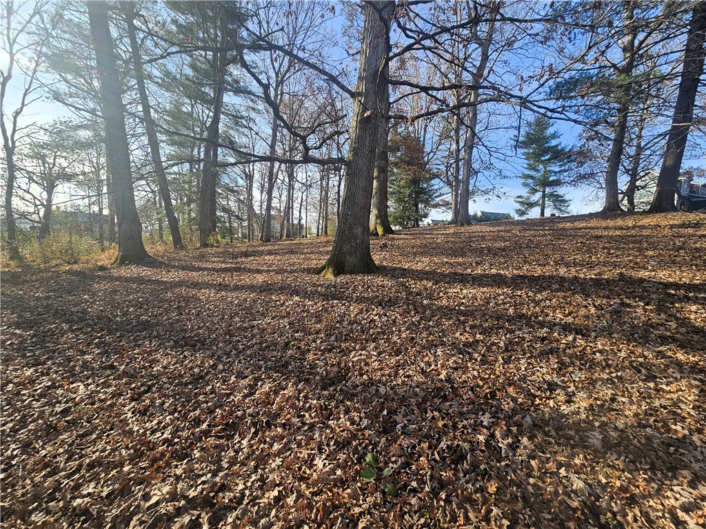 184 Majestic Ridge Road, Mills River, North Carolina image 3