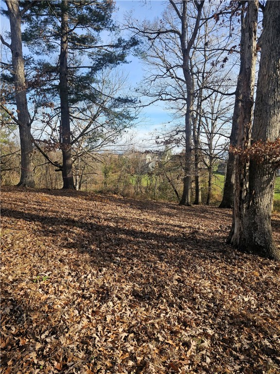 184 Majestic Ridge Road, Mills River, North Carolina image 8
