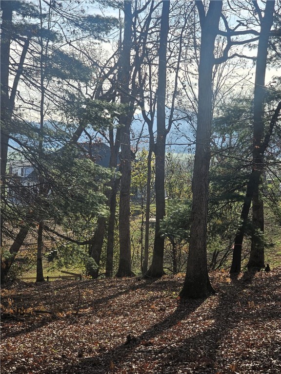 184 Majestic Ridge Road, Mills River, North Carolina image 16