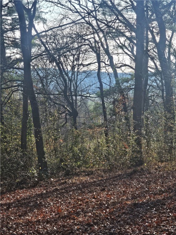 184 Majestic Ridge Road, Mills River, North Carolina image 1