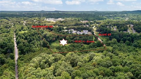 Vacant Land For Sale - Olive Street<br/> Easley, SC 29640