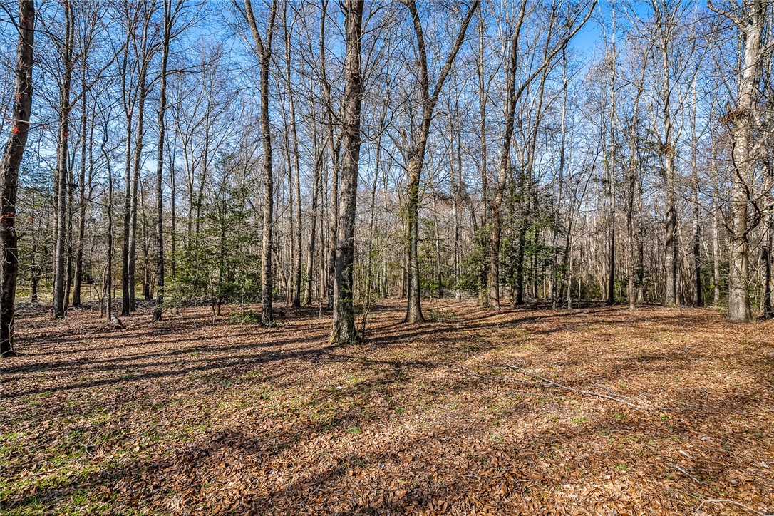 3615 Old Williamston Road, Belton, South Carolina image 44