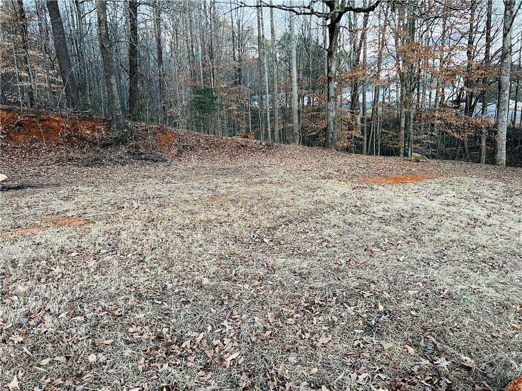 114 Summer Place Court, Pickens, South Carolina image 3