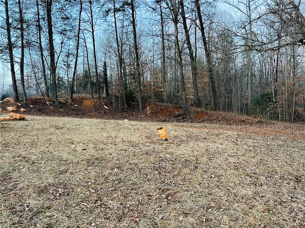 114 Summer Place Court, Pickens, South Carolina image 2