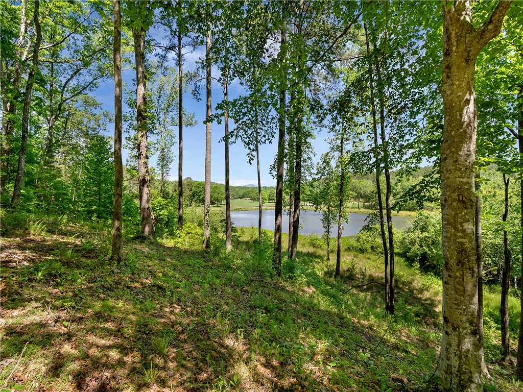 Lot 75 Eagle Ridge Way, Salem, South Carolina image 1